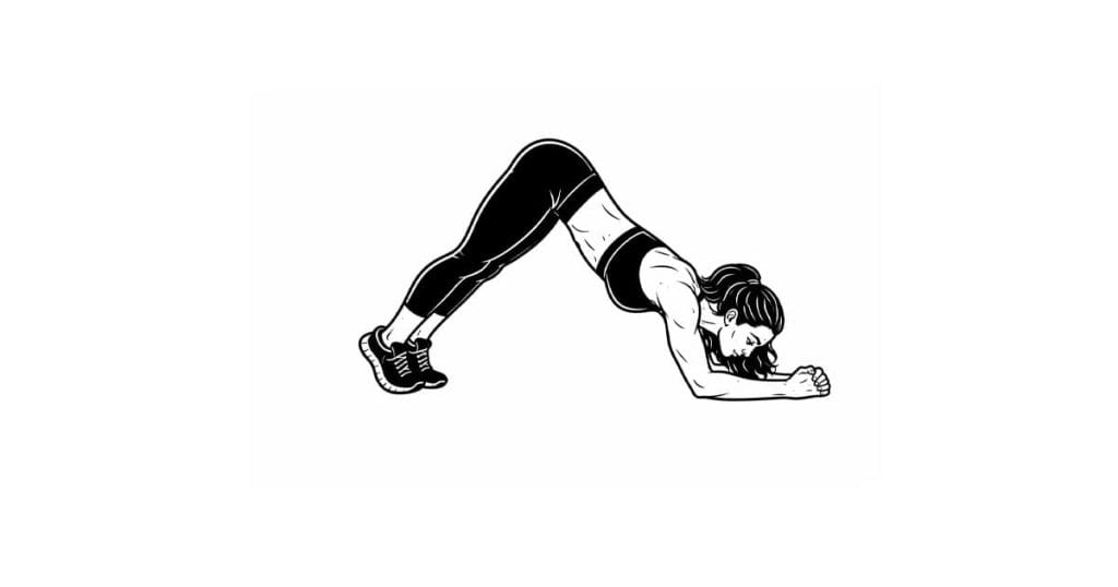 Dolphin Pose